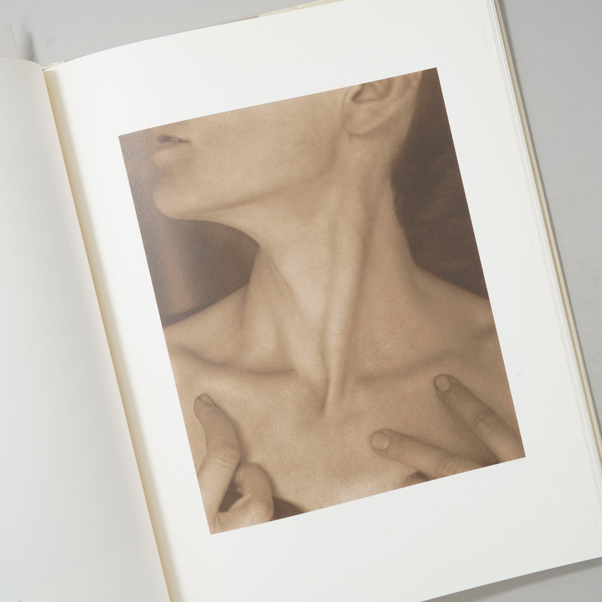 GEORGIA O'KEEFFE A PORTRAIT BY ALFRED STIEGLITZ