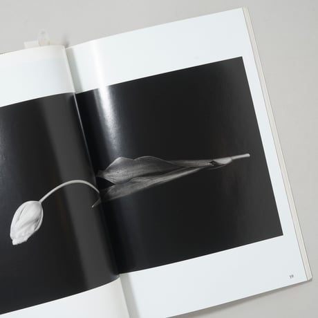 Commercial Photo Series 上田義彦広告写真 / 上田義彦(Yoshihiko Ueda)