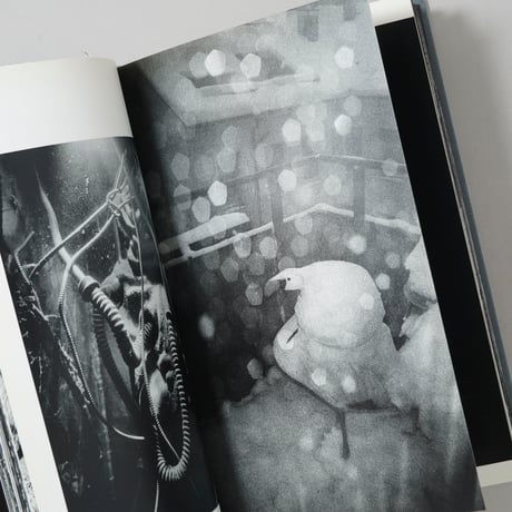 Veins / Anders Petersen,Jacob Aue Sobol(アンデルス・ペーターセン、ヤコブ・アウ・ソボル)