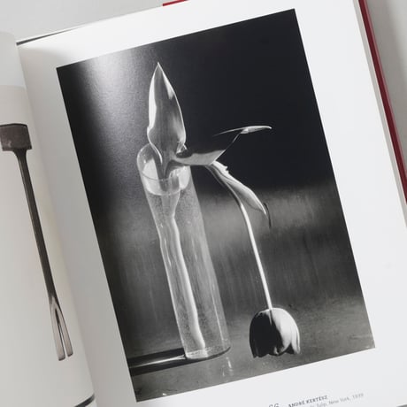 Still Life IN PHOTOGRAPHY / 著：Paul Martineau(ポール・マルティノ)、写真：William Henry Fox Talbot, Paul Strand 他