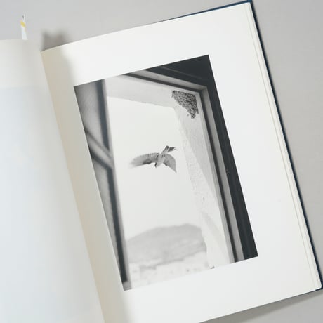 Des oiseaux / Bernard Plossu(ベルナール・プロス)