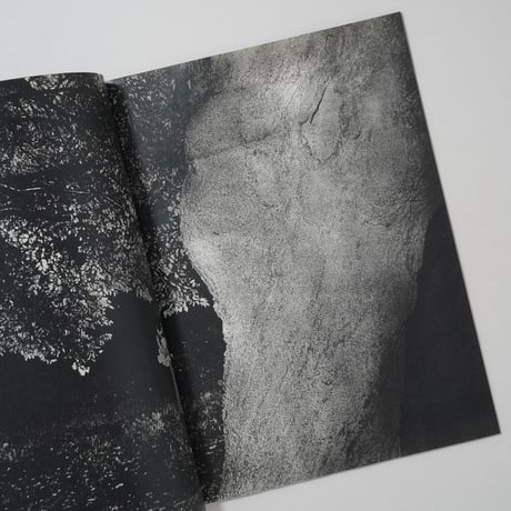 back yard / 横田大輔(Daisuke Yokota)