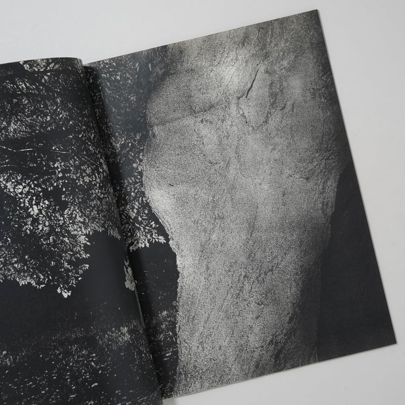 back yard / 横田大輔(Daisuke Yokota) | bookobscura｜