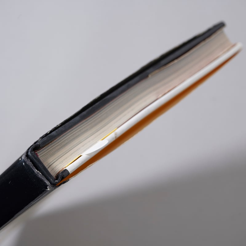 Mirror of Venus / Wingate Paine(ウィンゲート・ペイン) | b