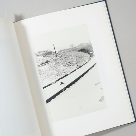 Des oiseaux / Bernard Plossu(ベルナール・プロス)