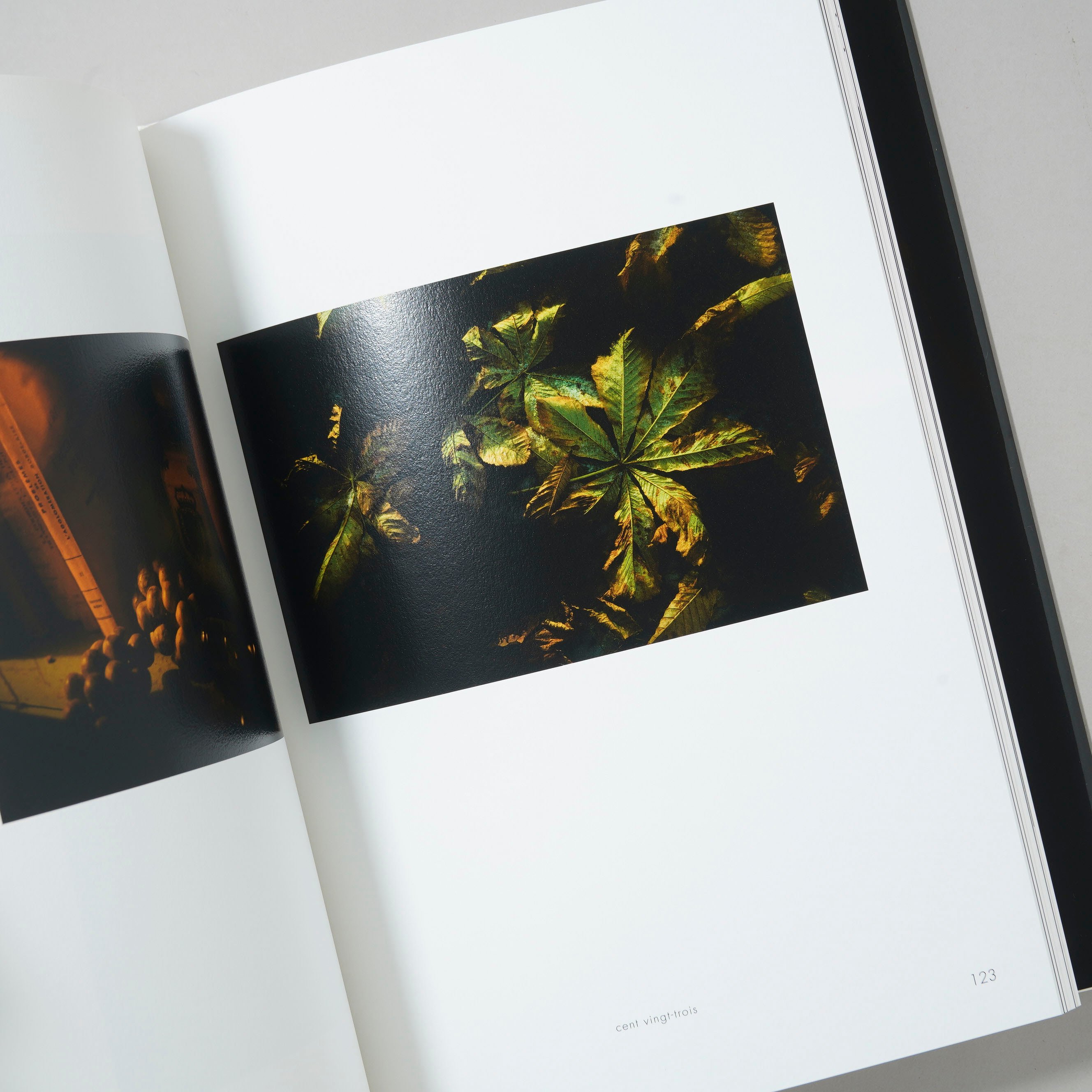 サイン入/Signed]LEICA / 野村誠一(Seiichi Nomura) | boo