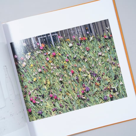 [新刊サイン入/New,Signed] ADVICE FOR YOUNG ARTISTS / Alec Soth(アレック・ソス)