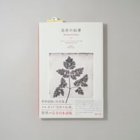 自然の鉛筆 / William Henry Fox Talbot(ウィリアム・ヘンリー・フォックス・タルボット)