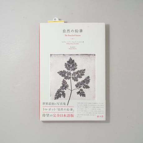自然の鉛筆 / William Henry Fox Talbot(ウィリアム・ヘンリー・フォックス・タルボット)