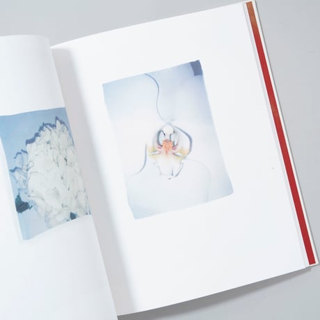 [新刊/New] Swaying Flowers / Ayaka Endo(遠藤文香)