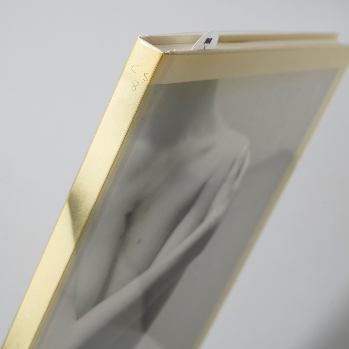 8 Women COLLIER SCHORR / Collier Schorr(コリエ・ショア