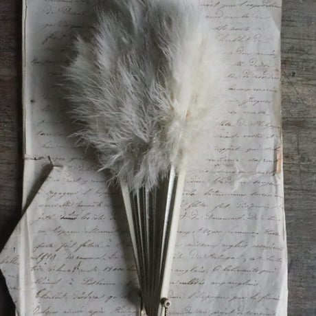 Éventail en plumes   ｓ