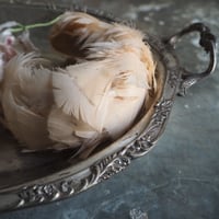 ☆ornement de cheveux de plumes