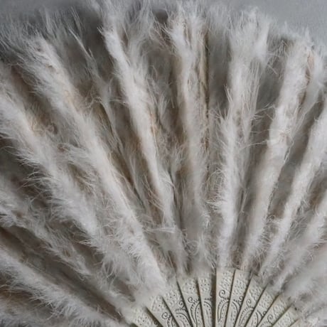 Éventail en plumes
