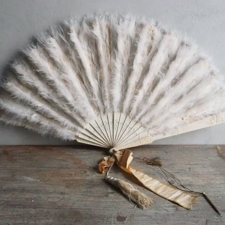 Éventail en plumes