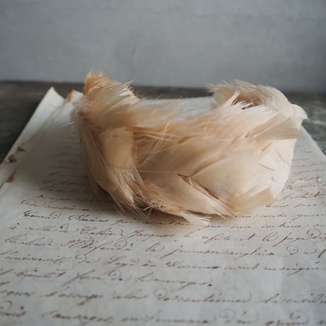 ☆ornement de cheveux de plumes