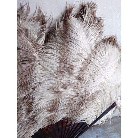 Éventail en plumes