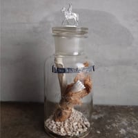 -時と夢の欠片のﾎﾞﾄﾙ-　B