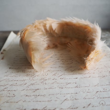 ☆ornement de cheveux de plumes