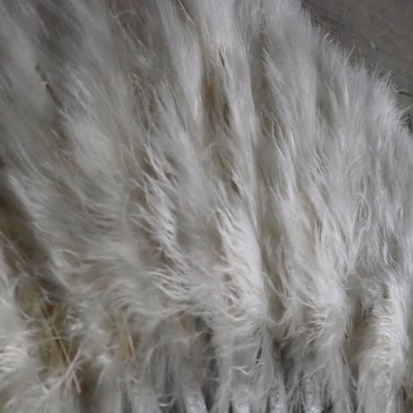 Éventail en plumes   ｓ