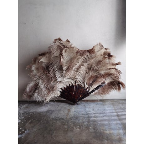 Éventail en plumes