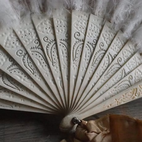 Éventail en plumes