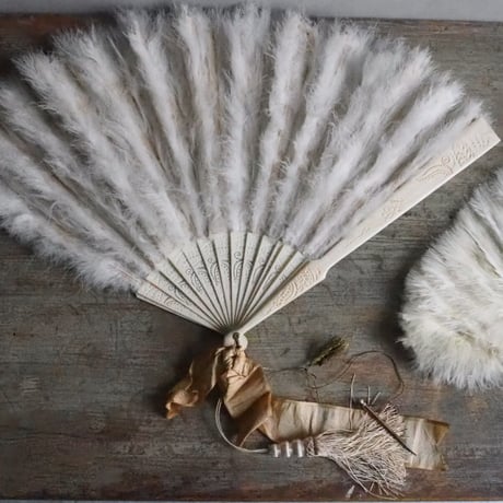 Éventail en plumes