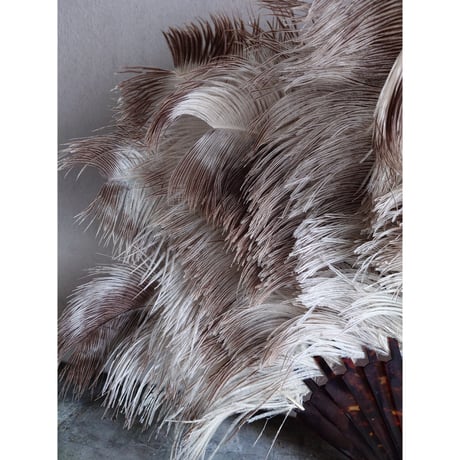 Éventail en plumes