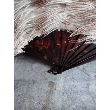 Éventail en plumes