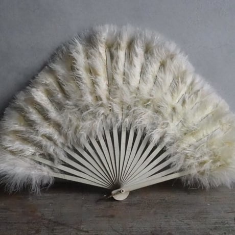 Éventail en plumes   ｓ