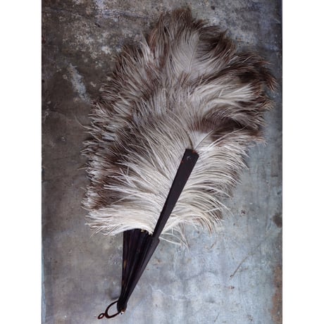 Éventail en plumes
