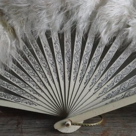 Éventail en plumes   ｓ