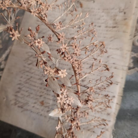 couronne des fleurs