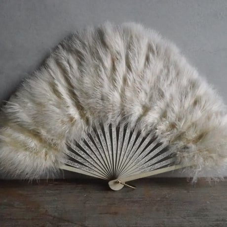 Éventail en plumes   ｓ