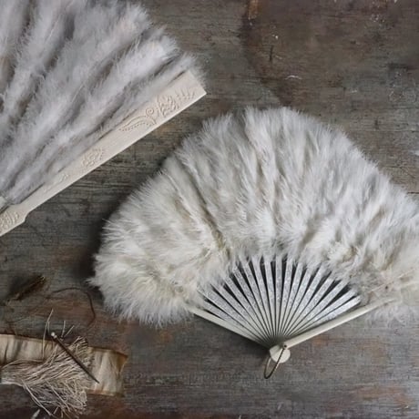 Éventail en plumes   ｓ
