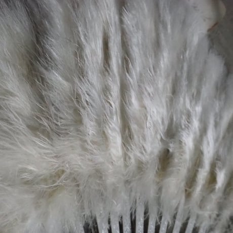 Éventail en plumes   ｓ
