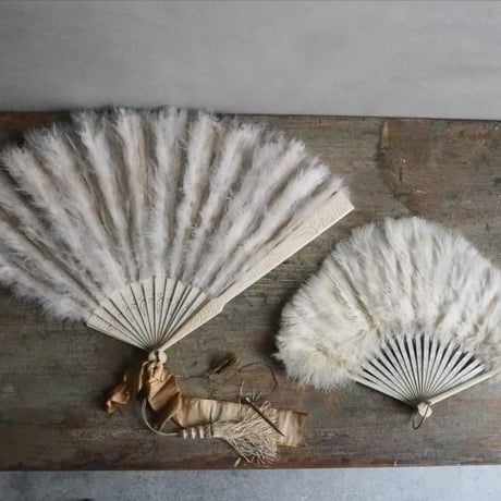 Éventail en plumes   ｓ