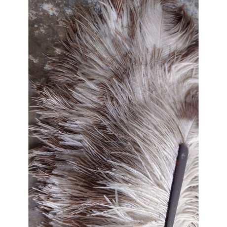 Éventail en plumes
