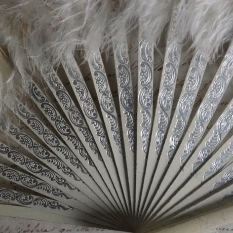 Éventail en plumes   ｓ