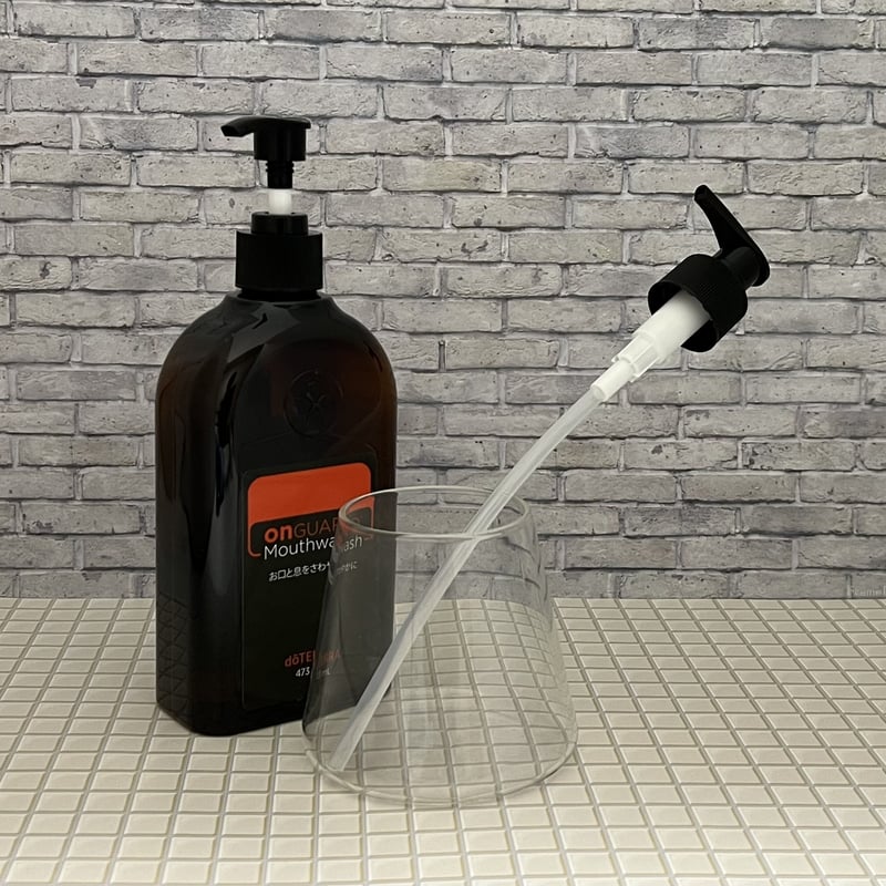 ローション 2本　ポンプ 専用です ローションとスキンカバーとポンプのセット パスタイムZX