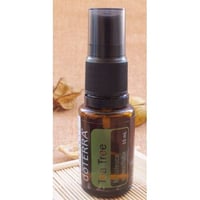 10月のおすすめ】ココナッツオイル用キャップ 1セット2個入り