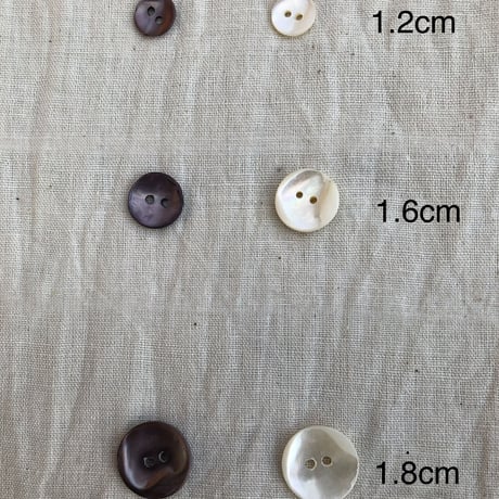 インドの貝ボタン　1.2cm×10個