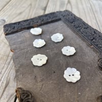 インド天然素材ボタンー貝ー16mm  5個
