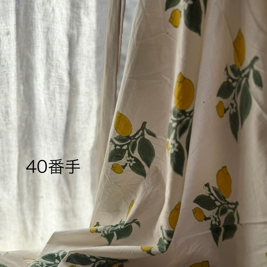 67bc0e15e6a77c1ba419f611