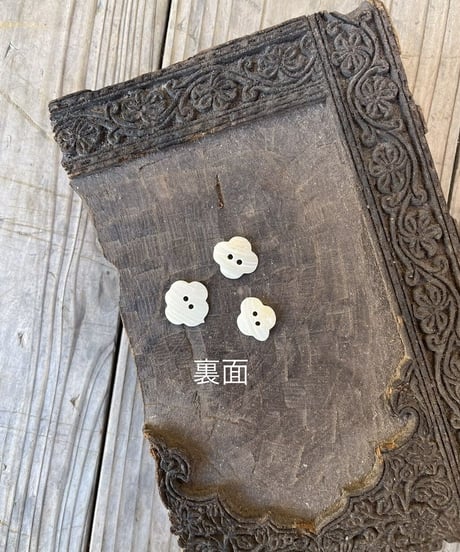 インド天然素材ボタンー貝ー1.5cm×5個