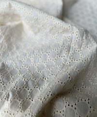 機械織りカットワーク刺繍生地　サークルー50cmー