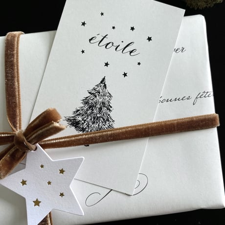 N-42 messagecard ★  Sapin sous les étoiles 25枚