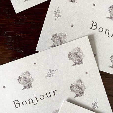 M-91 messagecard ★ écureuil Bonjour! 25枚
