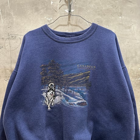 used CANADIAN MARSHLANDS SW