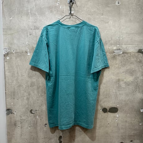 BRAT GARMENT DYE T